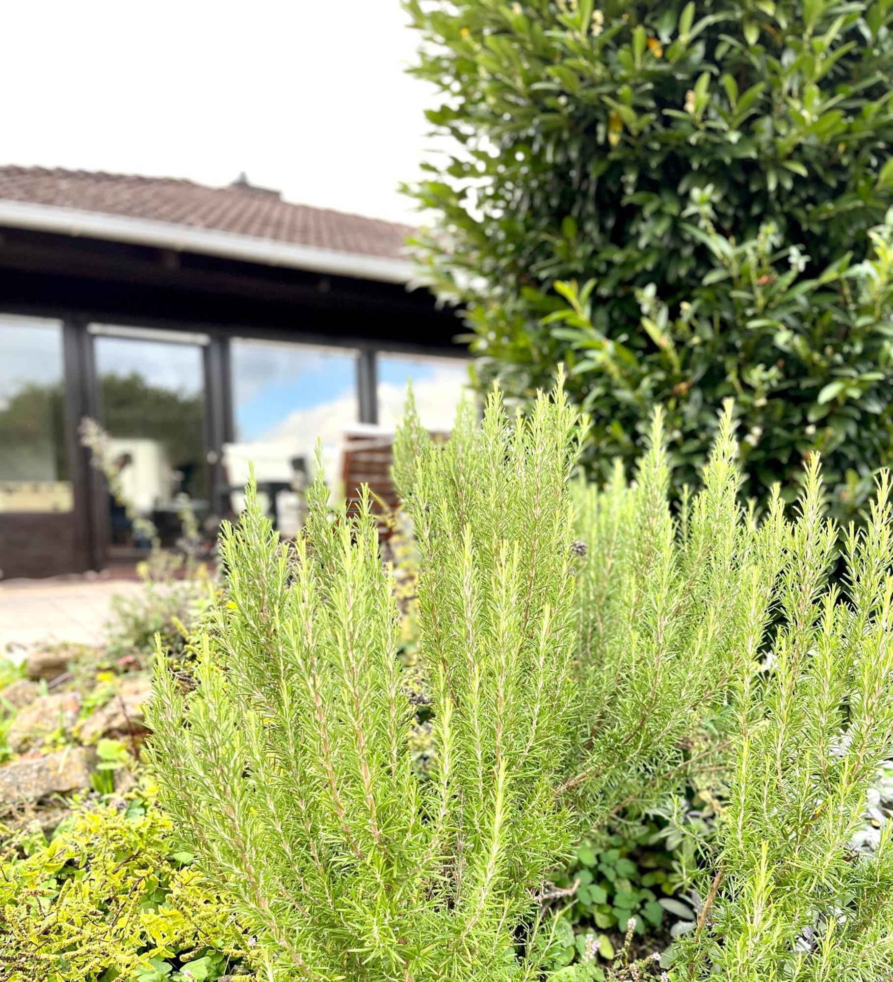 Ferienhaus Weinbergblick - Nahe Wuerzburg - 2 Schlafzimmer - Familienfreundlich - Terrasse Unterleinach Zewnętrze zdjęcie