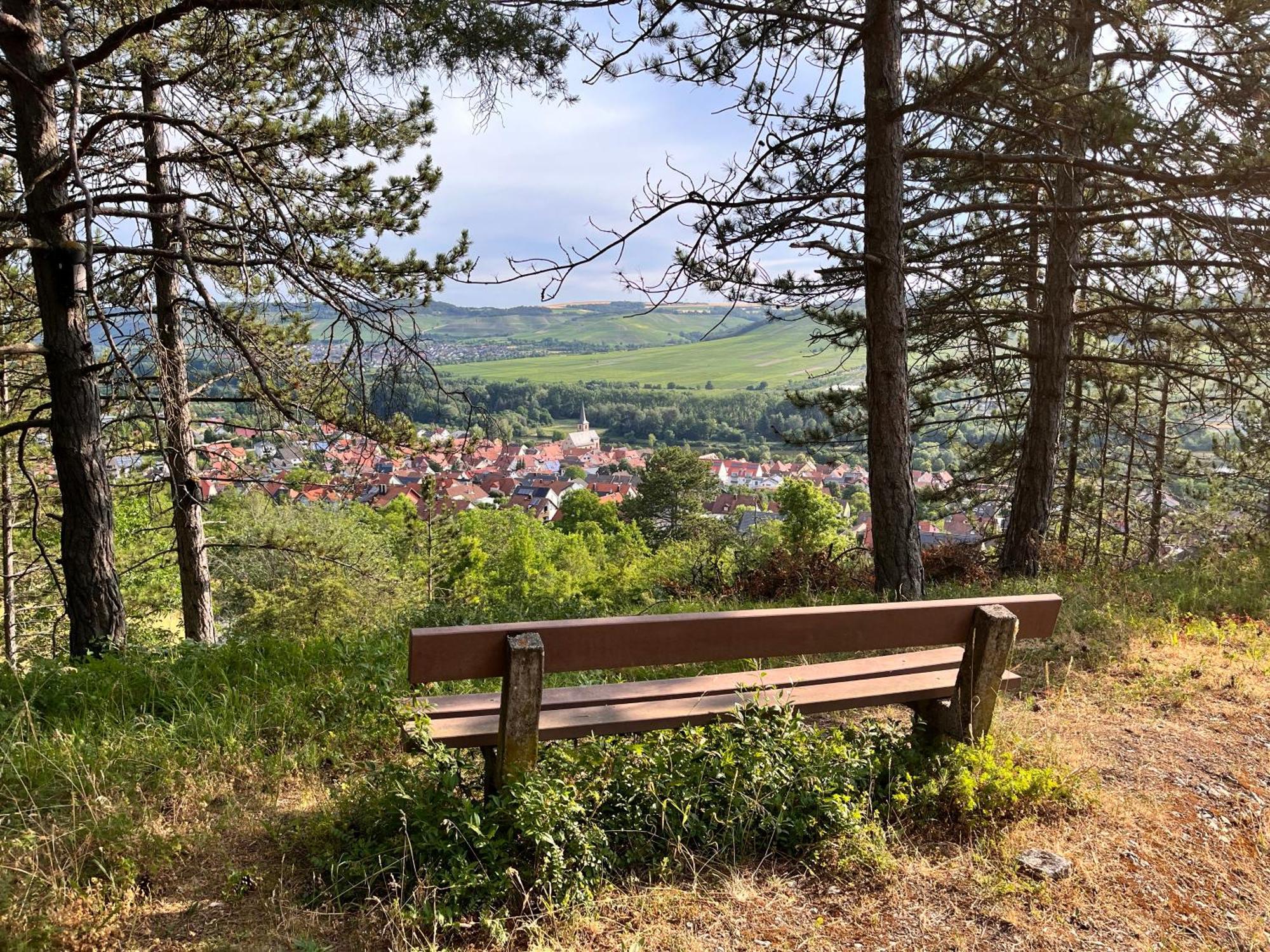 Ferienhaus Weinbergblick - Nahe Wuerzburg - 2 Schlafzimmer - Familienfreundlich - Terrasse Unterleinach Zewnętrze zdjęcie