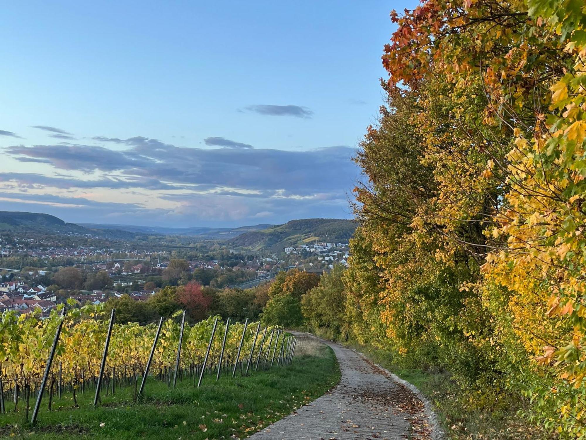 Ferienhaus Weinbergblick - Nahe Wuerzburg - 2 Schlafzimmer - Familienfreundlich - Terrasse Unterleinach Zewnętrze zdjęcie